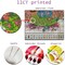 Stamped Cross Stitch Kits for Adults Beginner, Easy Counted Cross Stitch Kits Printed Butterfly Stitching Patterns